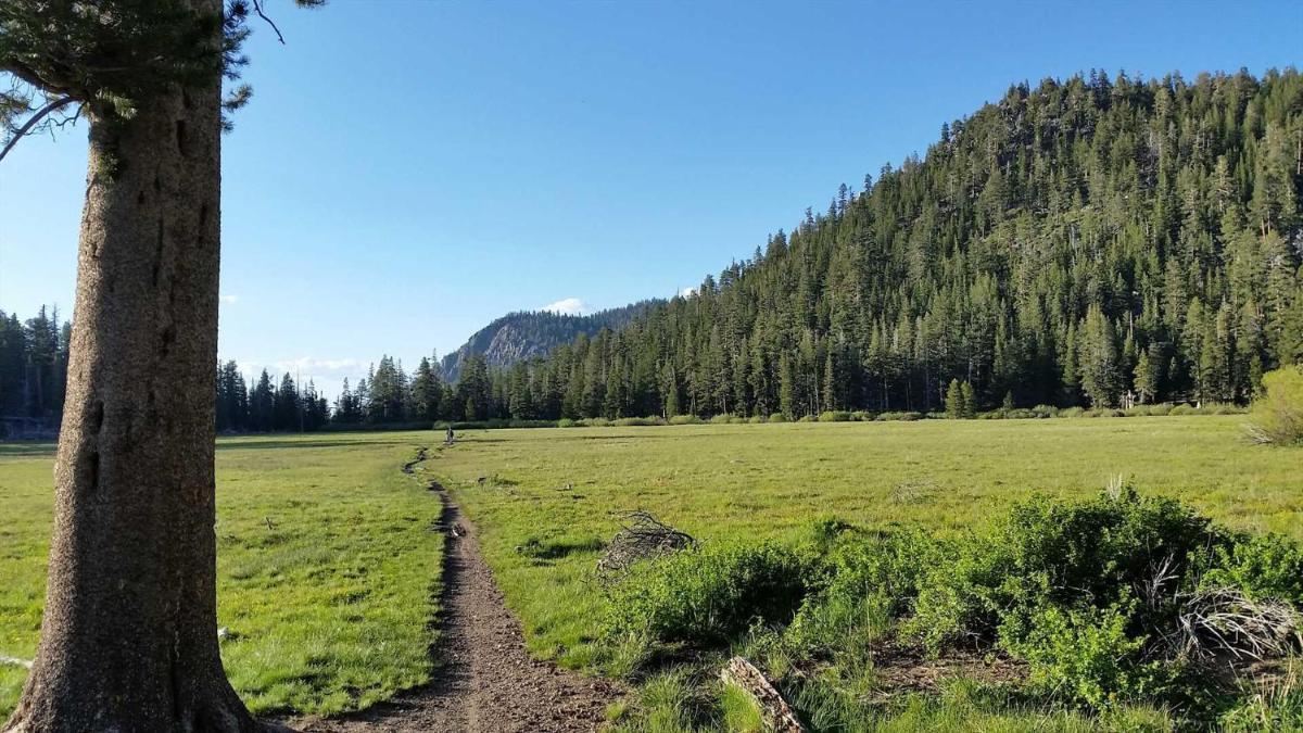 Popular attractions Area Nearby Property